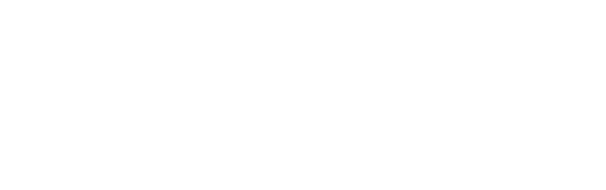 Bravía Logo